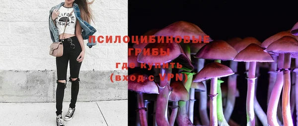 дурь Кодинск