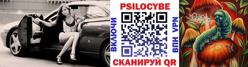 Галлюциногенные грибы Cubensis  Купить где  Качканар 